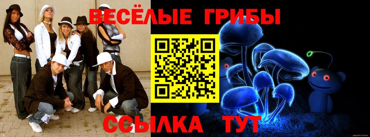 Псилоцибиновые грибы GOLDEN TEACHER Тула