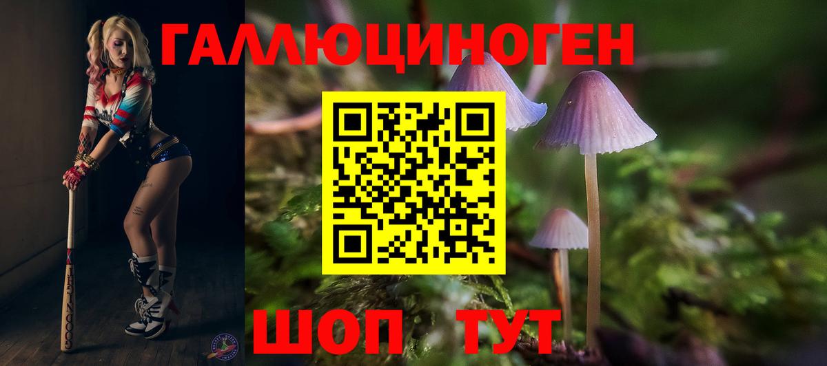 Псилоцибиновые грибы GOLDEN TEACHER  Вход с VPN  цена   Псилоцибиновые грибы Cubensis  Тула 