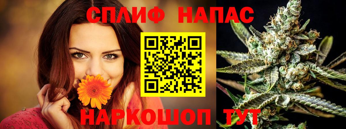Каннабис гибрид  Конопля Bruce Banner  МАРИХУАНА White Widow  Вход с VPN  Тула  МАРИХУАНА сатива 